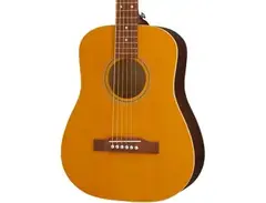 Epiphone El Nino main image