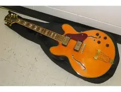 Jay Turser JT-142 main image