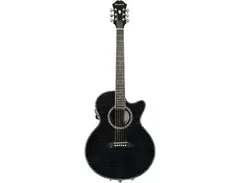 Epiphone Performer ME main image