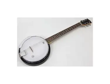 Gold Tone AC-6+ Banjitar