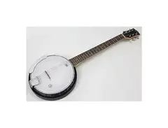 Gold Tone AC-6+ Banjitar