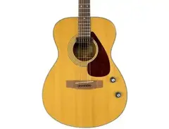 Yamaha FG-110E main image
