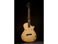 Skytop Guitars Grand Concert