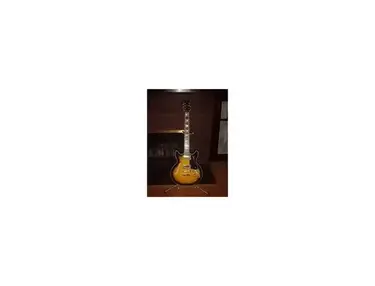 Jay Turser JT 134DC
