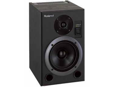 Roland discount studio speakers