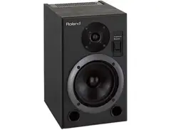 Roland DS-5 BI-Amp Monitor main image
