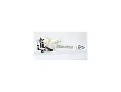 Fernandes SW-85T Retrorocket Star Wars "Stormtrooper" main image