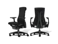 Herman Mller Embody Chair