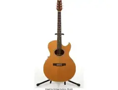 Washburn EA-45 main image