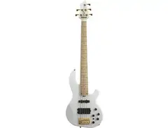 ESP Albion main image