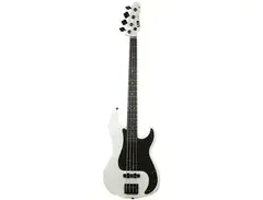 ESP LTD Surveyor '87