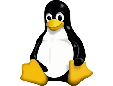 Linux