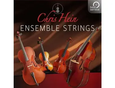 Best Service Chris Hein Ensemble Strings