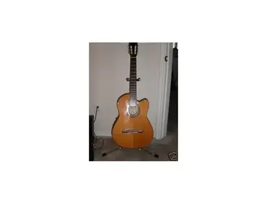 Washburn Classic Guitar WD-44s