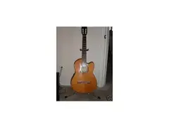 Washburn Classic Guitar WD-44s main image