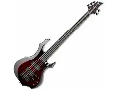 ESP LTD F-1005 main image