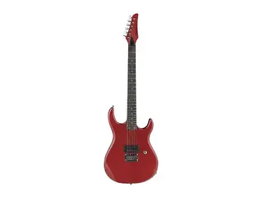 Carvin DC125