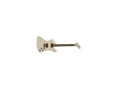 Washburn A10