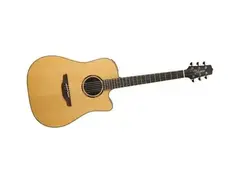 Takamine ETN10C main image