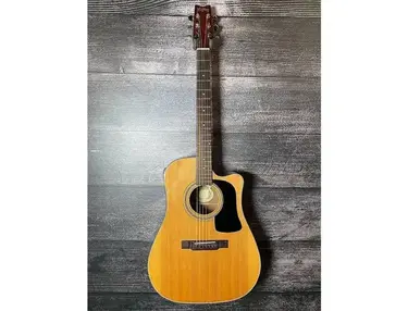 Washburn D10CE