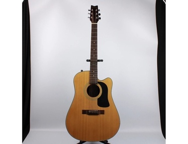 washburn d12ce