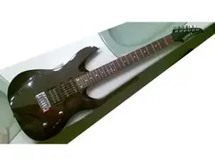 Samick Artist Series Electirc