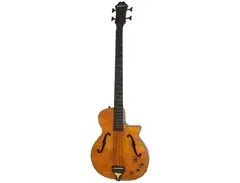 Epiphone Zenith