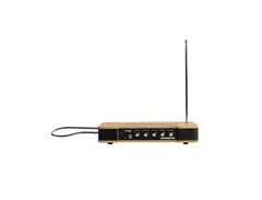 Moog Etherwave Theramin