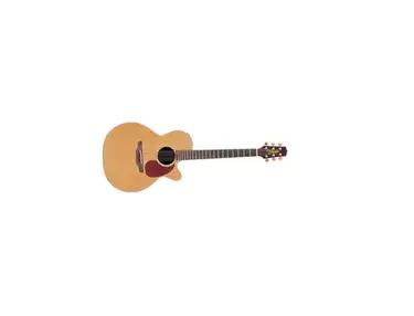 Takamine TAN45C