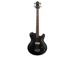 Nik Huber Rietbergen Bass