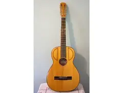 Acosta 12-String main image