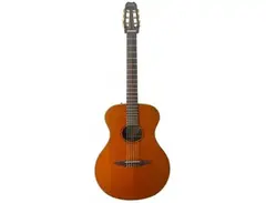 Yamaha APX-6N