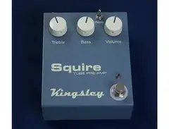 Kingsley Amplification Squire main image