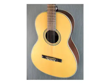Cort L100P