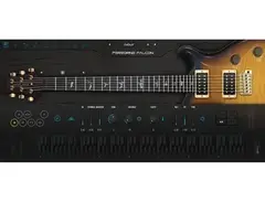 Ample Guitar PF main image