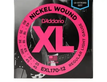 D'Addario EXL170-12 Nickel Wound 12-String Bass Set - 45/18/18 - 100/45/45