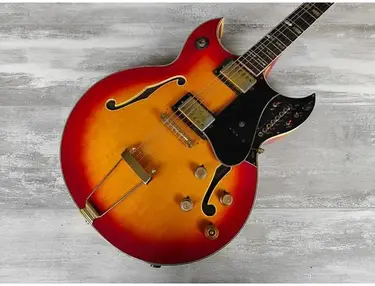 MCI M300 Guitorgan Guitar Organ