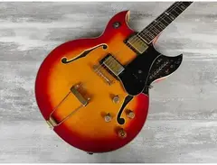 MCI M300 Guitorgan Guitar Organ