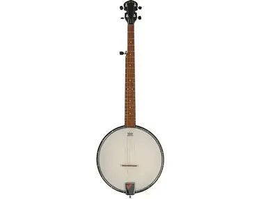 Gold Tone AC-1