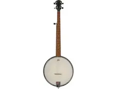 Gold Tone AC-1