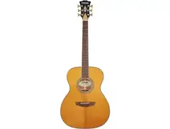 D'Angelico Excel Tammany XT