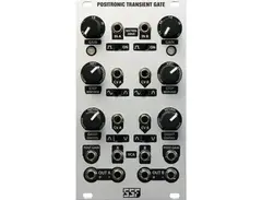 Steady State Fate Positronic Transient Gate