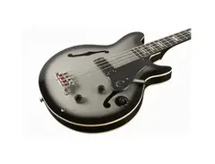 Epiphone Jack Casady Signature Bass - Limited Edition (2012)