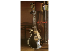 Fernandes Burny RSC-100 main image