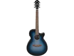 Ibanez AEG50