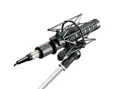 Neumann RSM 191AS