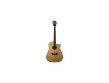 Washburn WD15SCE