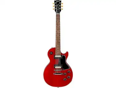Gibson Les Paul Special Limited Edition 2016 - 2018