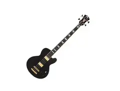D'Angelico Excel SD bass