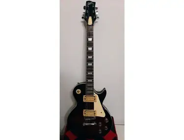 The Animal Les Paul Copy